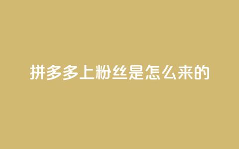 拼多多上粉丝是怎么来的,免费点赞超级便宜网站 - 抖音怎么清理虚假粉丝 qq赞在线自助下单网站  第1张