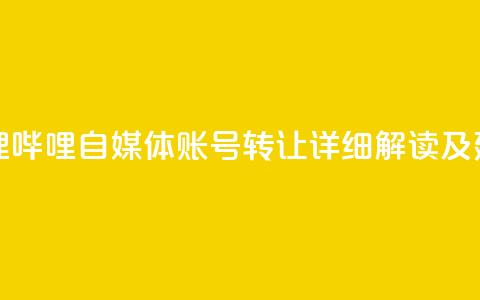 哔哩哔哩自媒体账号转让：详细解读及建议  第1张