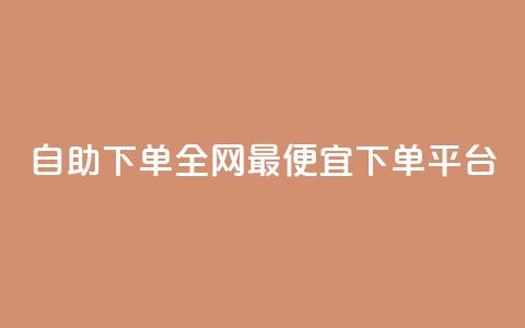 自助下单全网最便宜下单平台,熊猫业务下单平台 - ks业务在线下单平台 抖音点赞24小时在线超低价  第1张