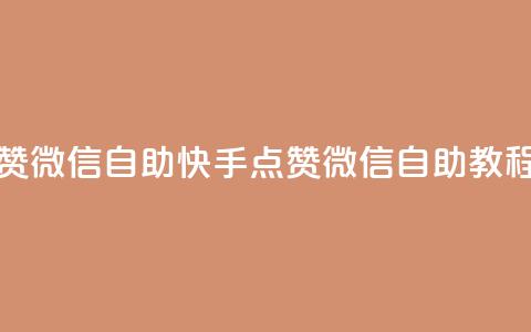 快手点赞微信自助(快手点赞微信自助教程)  第1张
