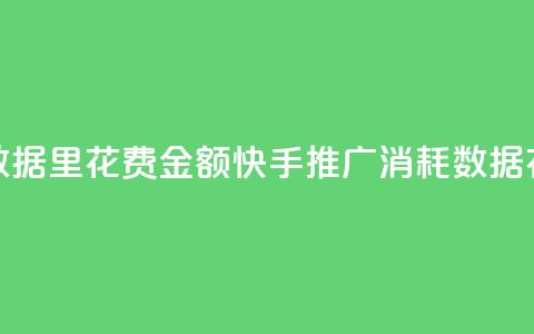 快手推广消耗数据里花费金额(快手推广消耗数据：花费金额大揭秘)  第1张