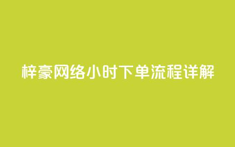 梓豪网络24小时下单流程详解,云小店QQ快手点赞 - 快手1分钟500赞 ks24小时下单平台  第1张