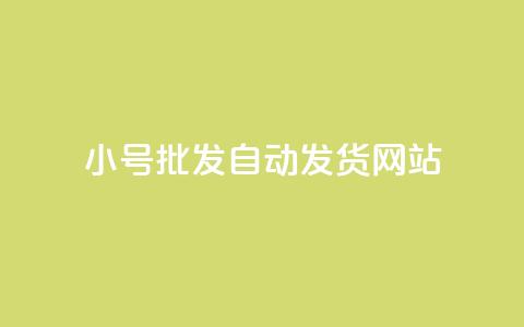 dy小号批发自动发货网站,ks小号发卡平台 - ks业务自助下单软件最低价 卡盟交易平台  第1张