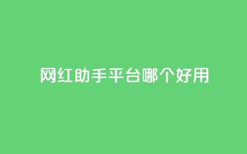 网红助手平台哪个好用,自助下单24小时平台Xhs - qq空间十万访客怎么做 cfm科技直装免费  第1张