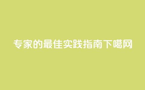 F949797：SEO专家的最佳实践指南  第1张