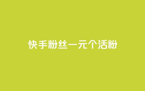 快手粉丝一元1000个活粉 - 获取1000个快手活粉只需1元！  第1张