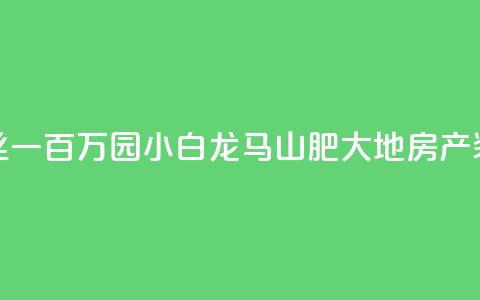 快手粉丝一百万0.01园小白龙马山肥大地房产装修网站,1分钟3000赞 - 刷空间访客人数 QQ动态自动秒赞  第1张