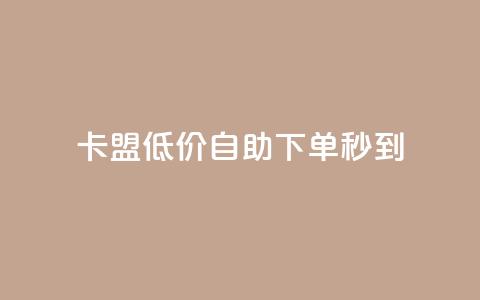 卡盟低价自助下单秒到 - 卡盟自助下单快速到账！  第1张