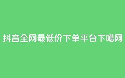 抖音全网最低价下单平台  第1张