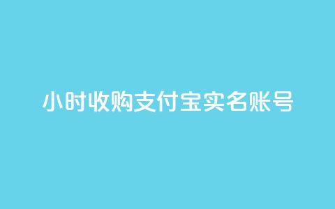24小时收购支付宝实名账号,快手小店pc端叫什么软件 - 云小店24小时自助下单 拼多多2019旧版本下载  第1张