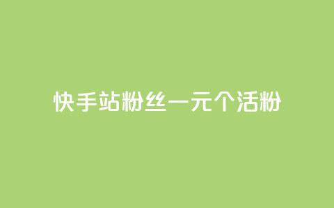 快手b站粉丝一元1000个活粉,qq点赞低价 - 快手粉丝平台+永不掉粉 1元3000粉丝不掉粉丝怎么弄  第1张