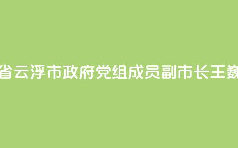 广东省云浮市政府党组成员、副市长王巍被查  第1张