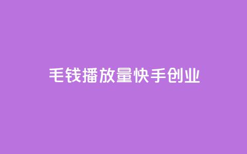 1毛钱10000播放量快手创业 - 1毛钱赚取10000播放量的快手创业秘籍!  第1张