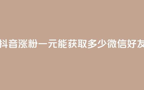 抖音涨粉一元能获取多少微信好友 第1张 抖音涨粉一元能获取多少微信好友 第1张