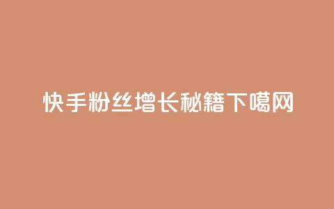 快手粉丝增长秘籍  第1张