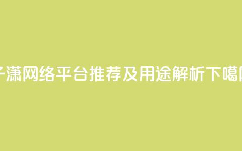子潇网络平台推荐及用途解析  第1张
