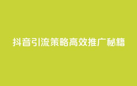 抖音引流策略：高效推广秘籍  第1张