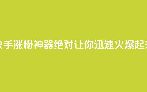 快手涨粉神器：绝对让你迅速火爆起来  第1张