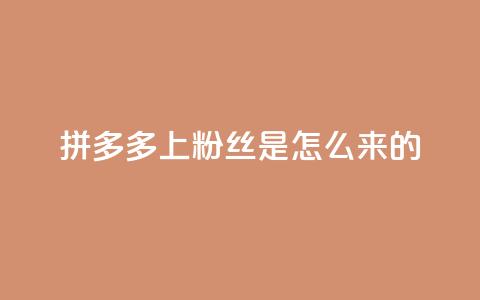 拼多多上粉丝是怎么来的 - 拼多多是如何吸引粉丝的？~  第1张