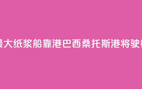 世界最大纸浆船靠港巴西桑托斯港将驶往中国  第1张