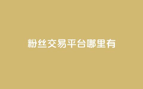 粉丝交易平台哪里有 - 哪里可以找到粉丝交易平台！  第1张