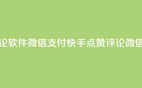 快手点赞评论软件微信支付(快手点赞评论微信支付)  第1张