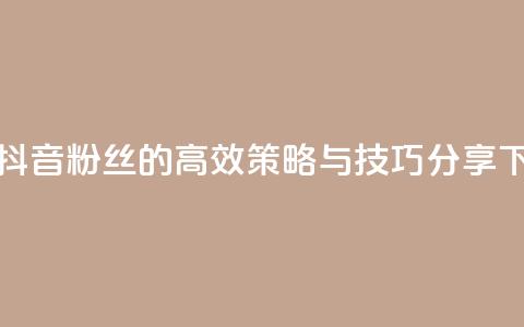 提升抖音粉丝的高效策略与技巧分享  第1张