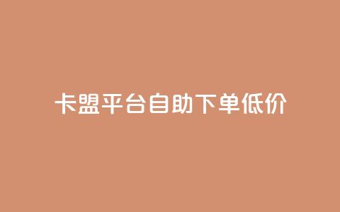 卡盟平台自助下单低价 - 自助下单低价卡盟平台助你轻松购卡！  第1张