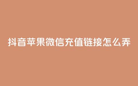 抖音苹果微信充值链接怎么弄,24小时在线出售快手白号 - 粉丝可以买10000个吗 卡盟超低价  第1张