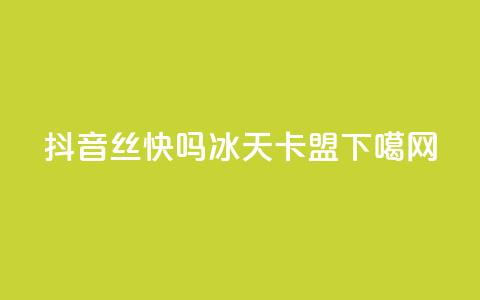 抖音丝快吗 - 冰天卡盟  第1张