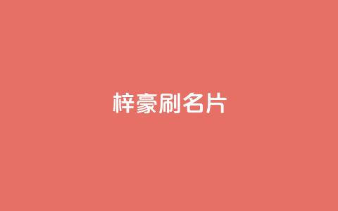 梓豪刷名片,dy粉丝低价卡盟 - 抖音作品点赞秒单 快手全网最低价下单平台  第1张