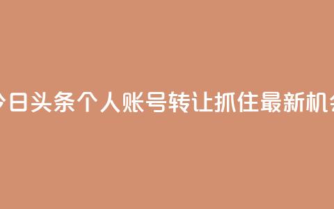 今日头条个人账号转让：抓住最新机会  第1张