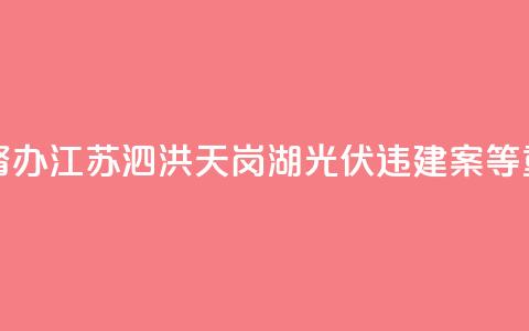 两部门联合挂牌督办江苏泗洪天岗湖光伏违建案等重大疑难复杂案件  第1张