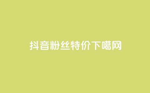 抖音粉丝特价  第1张