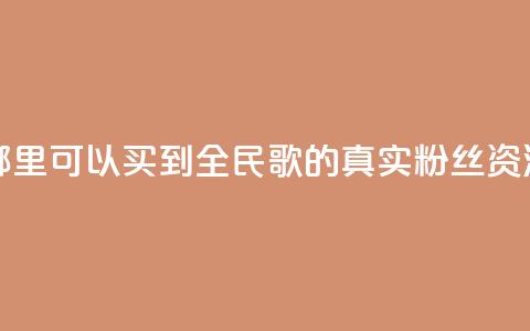 哪里可以买到全民K歌的真实粉丝资源  第1张