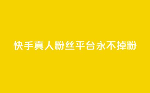 快手真人粉丝平台 永不掉粉,qq空间访问10万人怎么弄 - 卡盟低价自助下单 抖音业务24小时免费下单  第1张