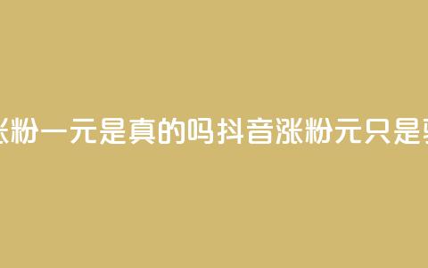 抖音涨粉一元是真的吗(抖音涨粉1元只是骗局吗)  第1张