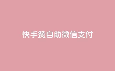 快手赞自助微信支付 - 快手赞微信支付自助操作指南！  第1张