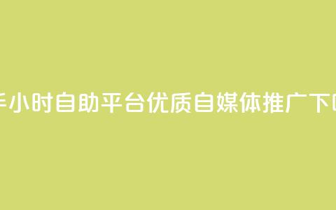 快手24小时自助平台——优质自媒体推广  第1张