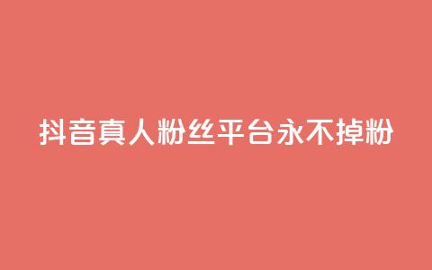 抖音真人粉丝平台 永不掉粉,二十四小时自助下单商城 - ks业务专区 快手业务24小时自助服务  第1张