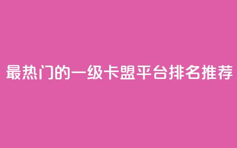 最热门的一级卡盟平台排名推荐  第1张