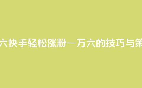 快手粉丝一万六 - 快手轻松涨粉一万六的技巧与策略分享!  第1张