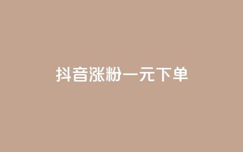 抖音涨粉一元下单 - 抖音一元下单快速涨粉秘诀揭秘！  第1张