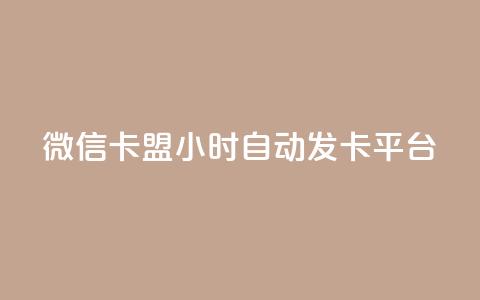 微信卡盟24小时自动发卡平台 - 最佳SEO实践：全天候自动发卡平台,微信卡盟买卡24小时服务~  第1张
