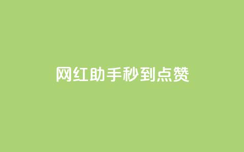 网红助手秒到点赞 - 网红助手快速获取点赞的秘密揭秘~  第1张