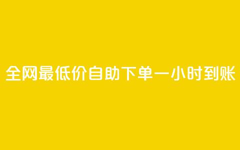 全网最低价：自助下单一小时到账  第1张