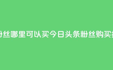 今日头条粉丝哪里可以买 - 今日头条粉丝购买指南!  第1张