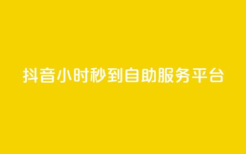 抖音24小时秒到自助服务平台,卡盟qq业务最低价 - dy低价下单平台 抖音评论真人下单  第1张