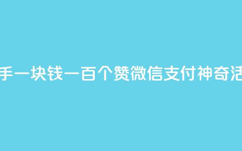 快手一块钱一百个赞微信支付神奇活动  第1张