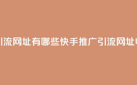快手推广引流网址有哪些(快手推广引流网址收录getList)  第1张